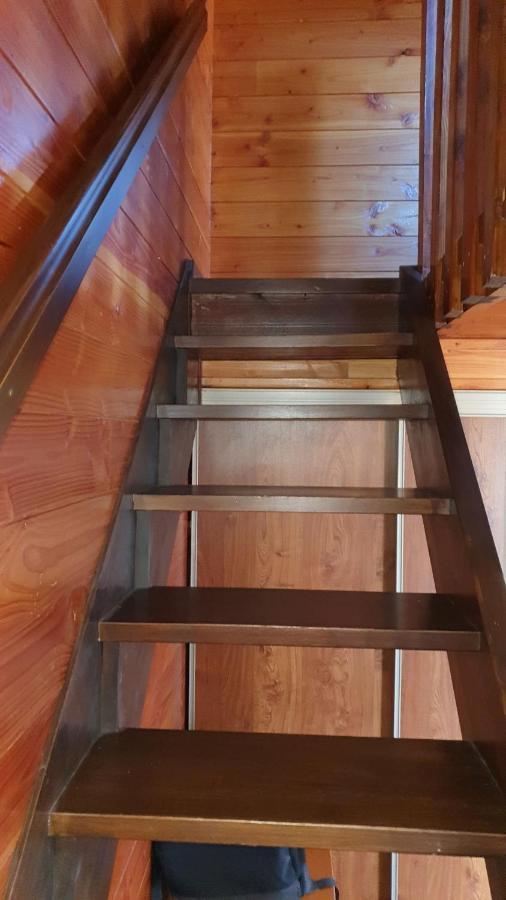 Chalet Individuel Les Sorbiers - 80M2 - Jardin - Barbecue - Wifi - Netflix - Ski & Randonnee - Pyrenees Catalanes Francaises - 埃安 外观 照片
