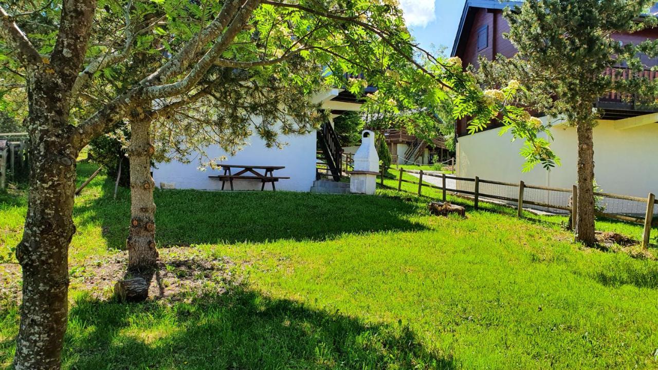 Chalet Individuel Les Sorbiers - 80M2 - Jardin - Barbecue - Wifi - Netflix - Ski & Randonnee - Pyrenees Catalanes Francaises - 埃安 外观 照片